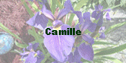 Camille