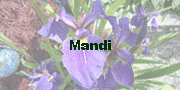 Mandi