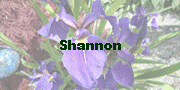 Shannon
