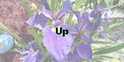 Up